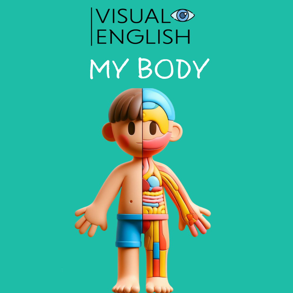 My Body ESL lesson thumbnail